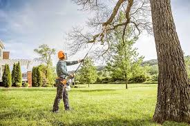 Best Storm Damage Tree Cleanup  in Bellevue, WI