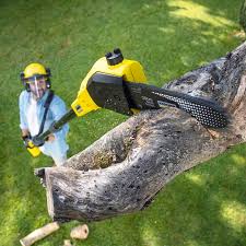 Best Aeration Services  in Bellevue, WI