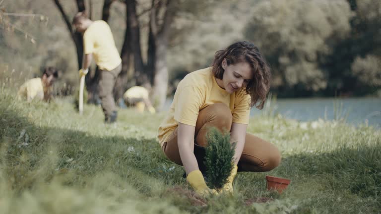 Lawn Pest Prevention in Bellevue, WI