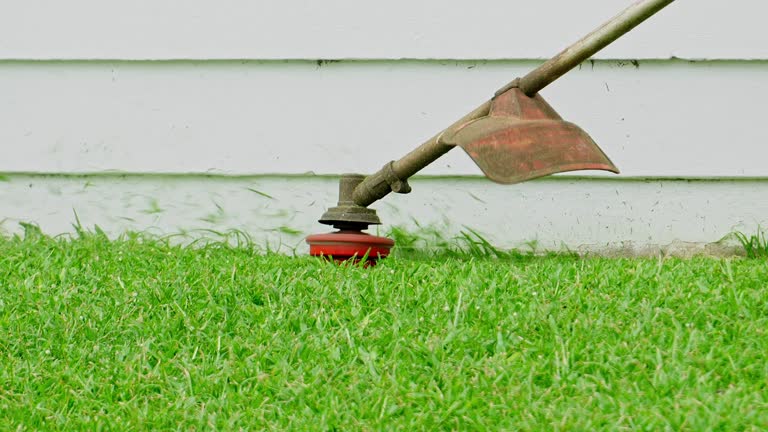 Grass Overseeding in Bellevue, WI
